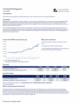 True Potential SEI Aggressive Factsheet